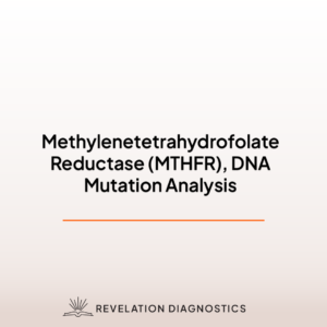 Methylenetetrahydrofolate Reductase (MTHFR), DNA Mutation Analysis